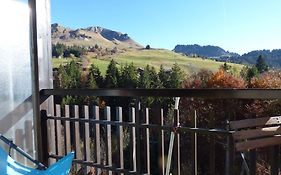 Studio Chinaillon Grand Bornand